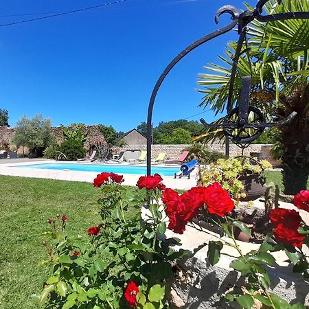 Gite A Archigny : Piscine Chauffee, Clim, Jardin Et Proche Futuroscope - Fr-1-541-90 Apartment Exterior photo